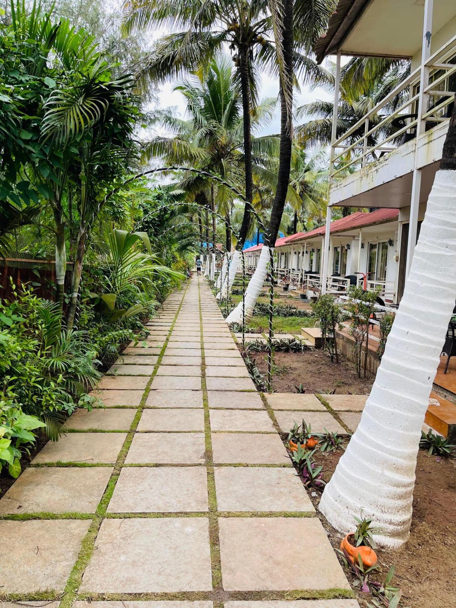 Arabian Sea Beach Resort Morjim Luaran gambar