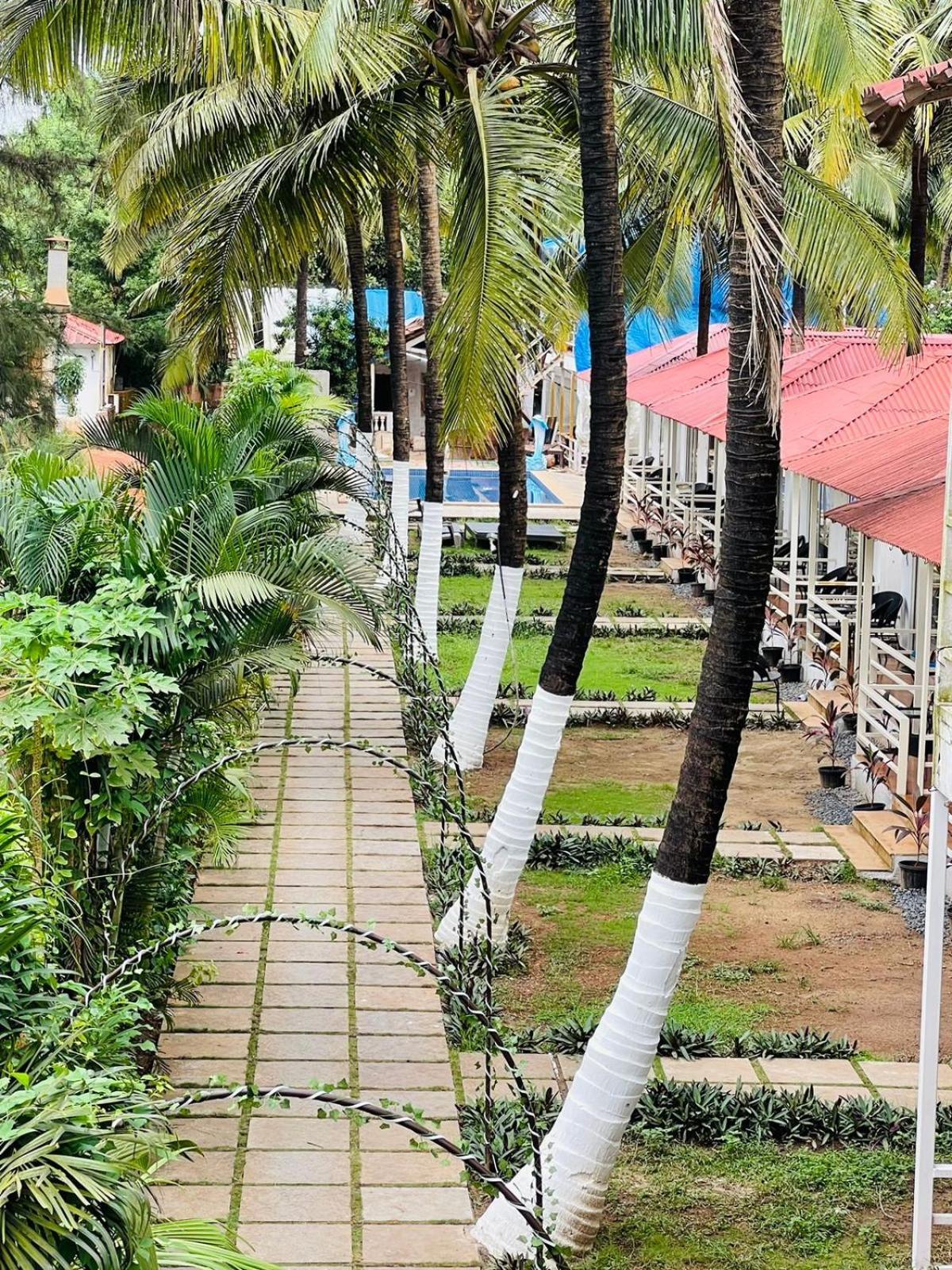 Arabian Sea Beach Resort Morjim Luaran gambar